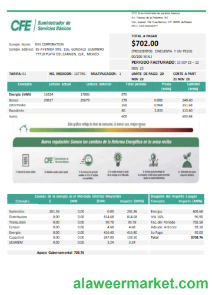 CFE electricity utility business bill,  SCR